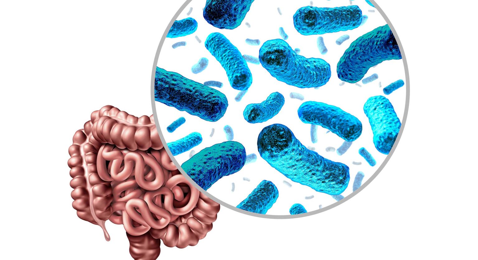 Four science-backed ways of taking care of your gut microbiota