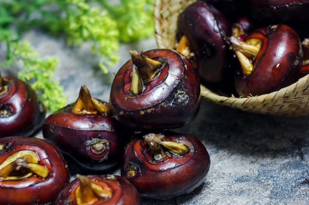 The Untold Benefits Of Water Chestnuts: PC