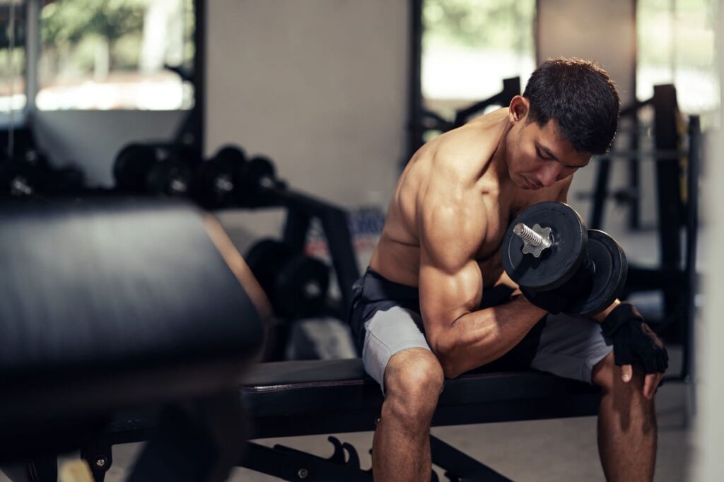 Muscular Hypertrophy: A Beginner’s Guide- PC