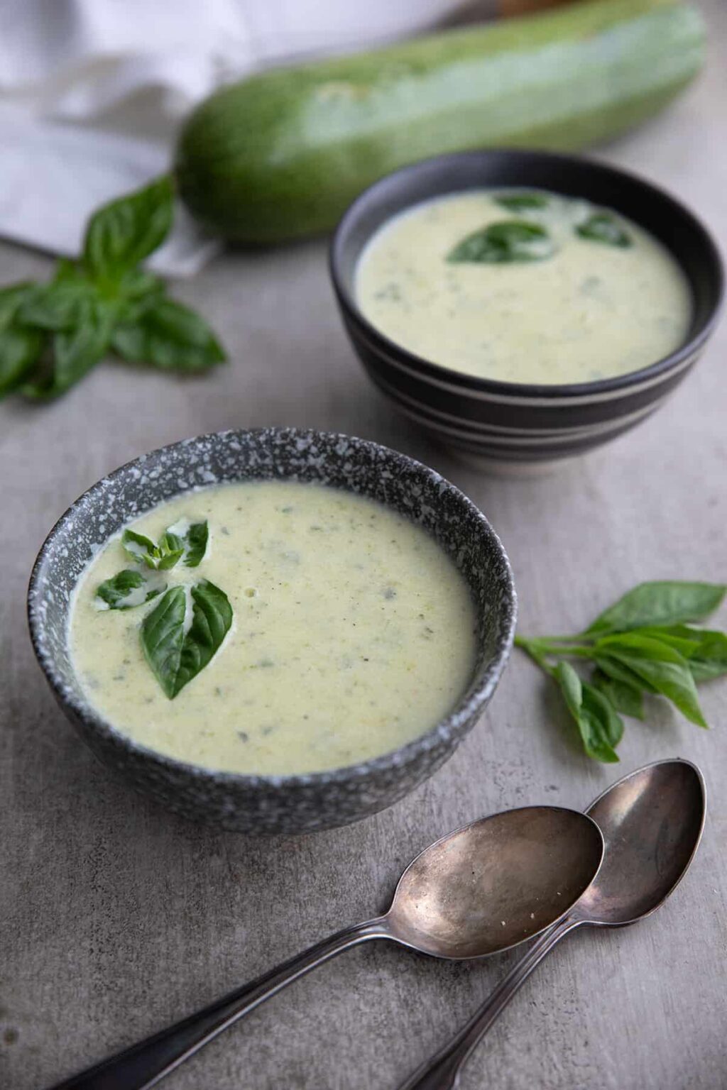 Zucchini Soup Recipe