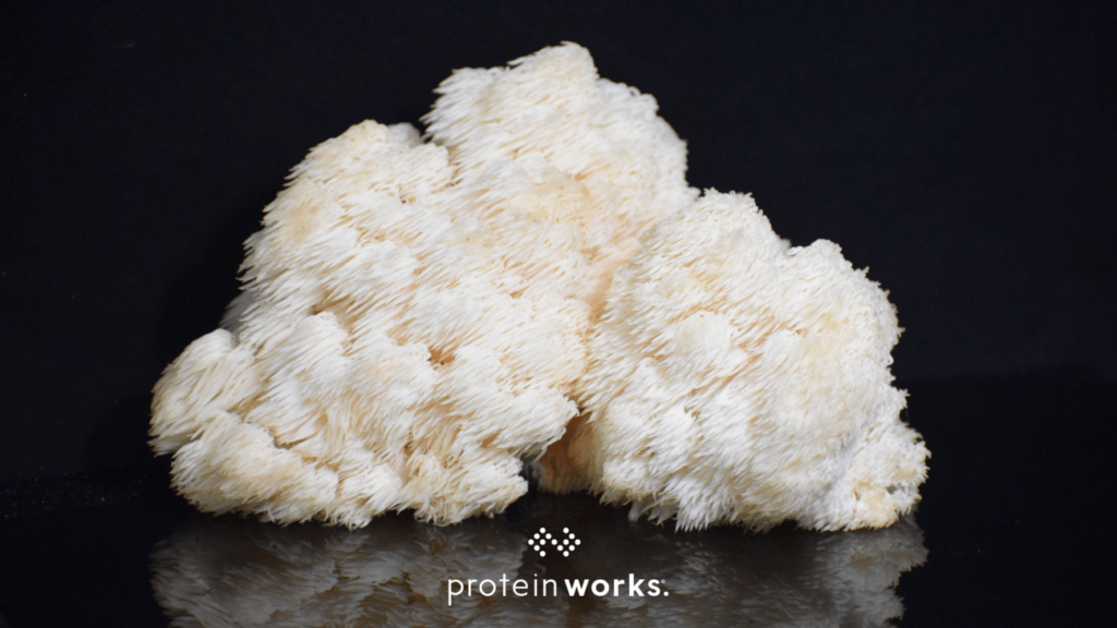 What are the Health Benefits of Lion’s Mane Mushrooms?