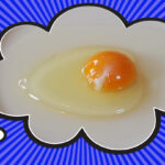 What’s the Little White Thing in an Egg?
