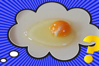 What’s the Little White Thing in an Egg?