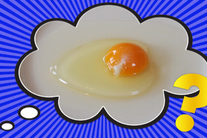 What’s the Little White Thing in an Egg?