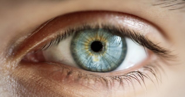 10 Horrifying Things That Can Happen to Your Eyeballs