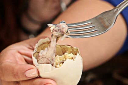Top 10 Bizarre Foods That People Usually Eat