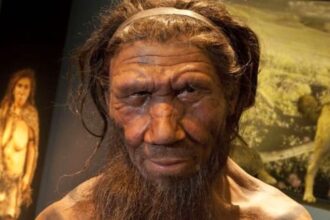 10 Nifty Things Neanderthals Did That Wows Modern Humans