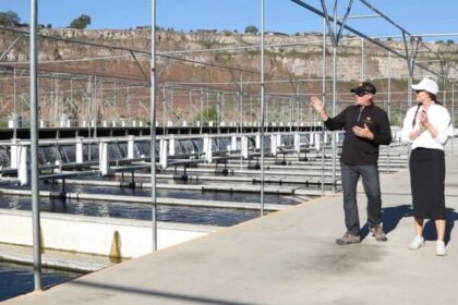 Hooked on Sustainable U.S. Aquaculture: A Deep Dive at Four “Fintastic” Farms