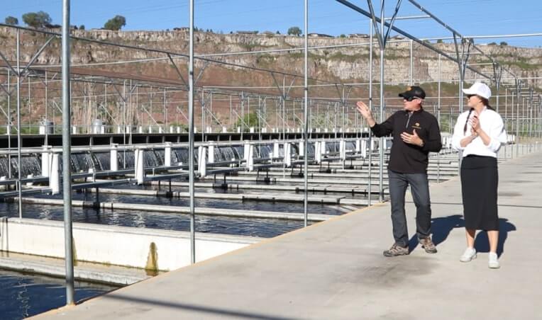 Hooked on Sustainable U.S. Aquaculture: A Deep Dive at Four “Fintastic” Farms