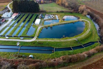 Is Aquaculture a Sustainable Way to Produce Fish and Seafood?