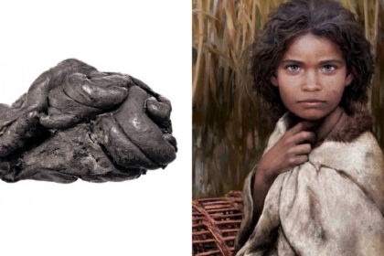 Scientists Recover Full Human Genome From 5,700-Year-Old Gum