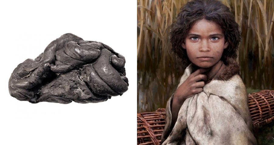 Scientists Recover Full Human Genome From 5,700-Year-Old Gum