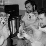 Remains Of Lost Antarctic Researcher Recovered After 66 Years