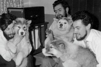 Remains Of Lost Antarctic Researcher Recovered After 66 Years