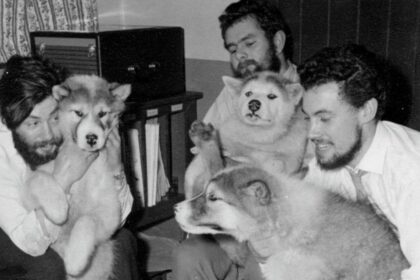 Remains Of Lost Antarctic Researcher Recovered After 66 Years