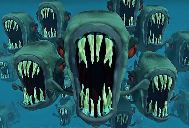 10 Horrifying Encounters with Swarming Animals