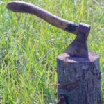 10 Everyday Sayings with Surprisingly Violent Origins