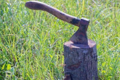 10 Everyday Sayings with Surprisingly Violent Origins