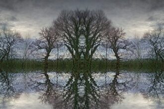 10 Cool Palindromes You Didn’t Know Existed