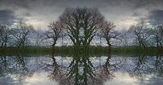 10 Cool Palindromes You Didn’t Know Existed