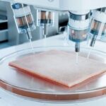 10 Weird Solutions to Global Problems