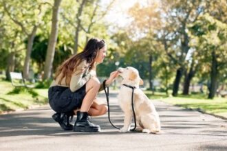 10 Hilarious-Sounding Recent News Stories