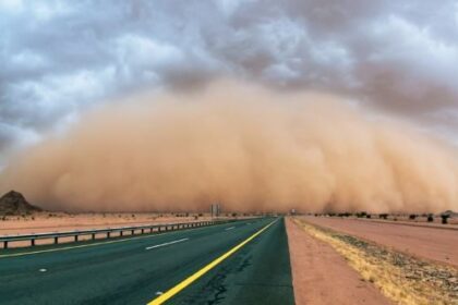 10 Terrible New Health Findings