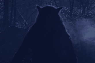 10 States With The Most Cryptids In The US