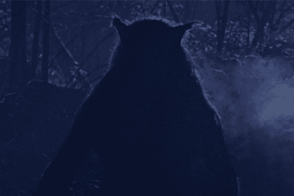 10 States With The Most Cryptids In The US