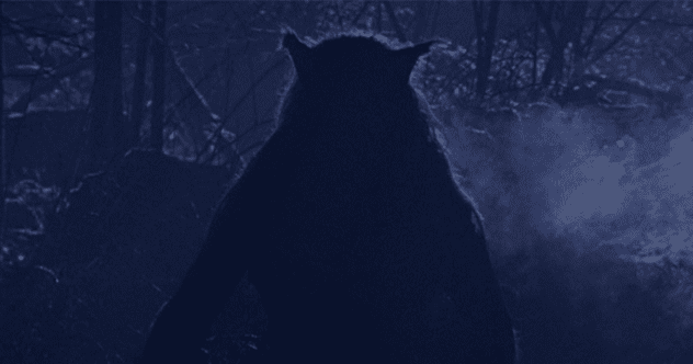 10 States With The Most Cryptids In The US