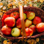 6 Ways to Celebrate the Autumnal Equinox
