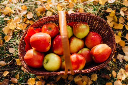 6 Ways to Celebrate the Autumnal Equinox