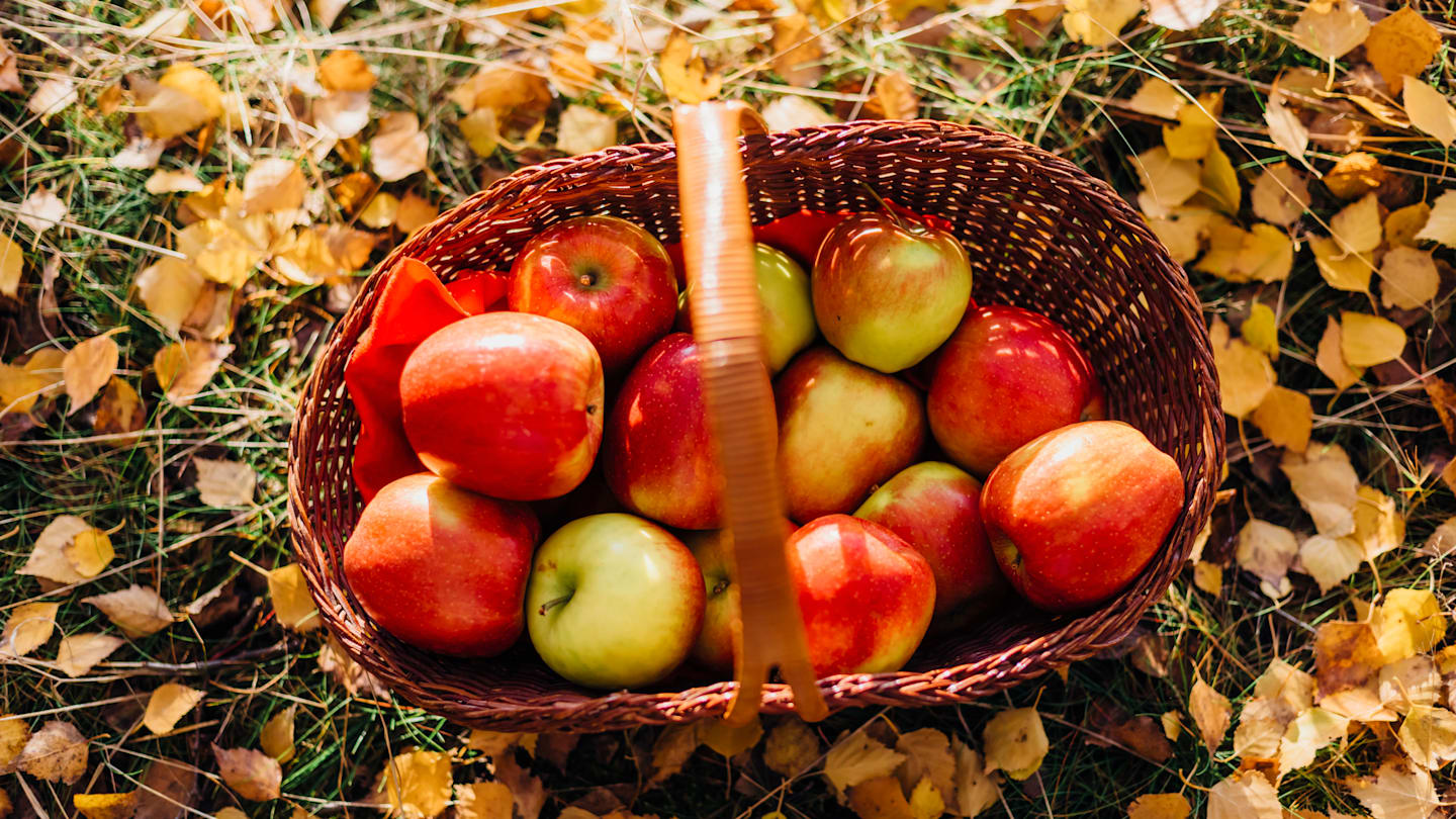 6 Ways to Celebrate the Autumnal Equinox