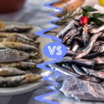 Sardines vs. Anchovies: What‘s the Difference?