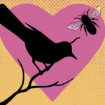 Where Does the Term ‘The Birds and The Bees’ Come From?