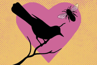 Where Does the Term ‘The Birds and The Bees’ Come From?