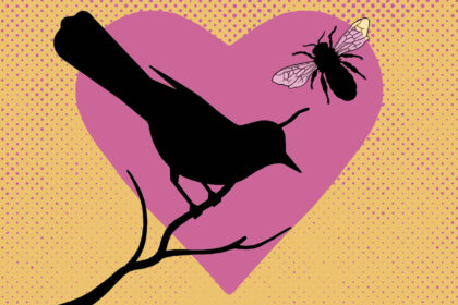 Where Does the Term ‘The Birds and The Bees’ Come From?