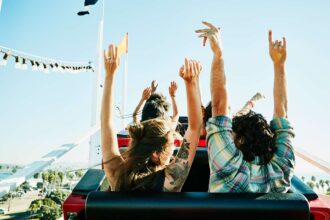 Amusement Park vs. Theme Park: What‘s the Difference?