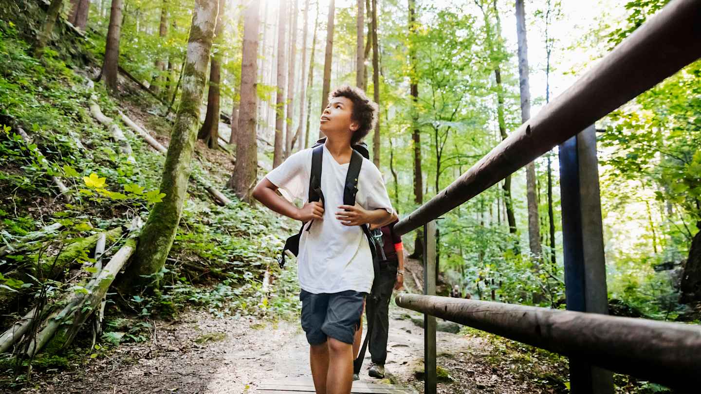 10 Best Beginner Hiking Trails in the U.S.