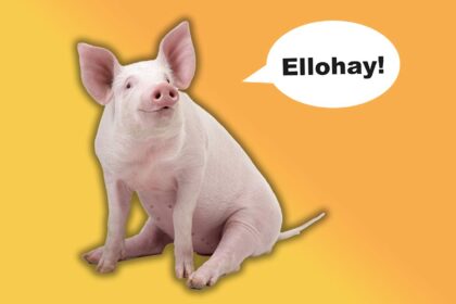What Is Pig Latin—And What Does It Have to Do With Pigs?