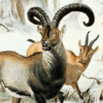 10 One of a Kind Moments in the Animal Kingdom