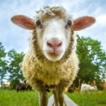 10 Unbelievable Advertising Fiascoes – Listverse