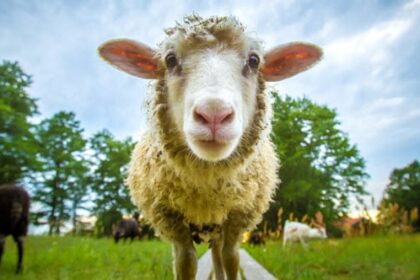 10 Unbelievable Advertising Fiascoes – Listverse