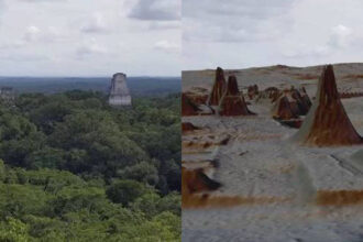 Lasers Reveal Over 61,000 Mayan Structures Hidden Beneath The Jungle