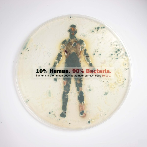 Top 10 Ways Your Body is Disgusting