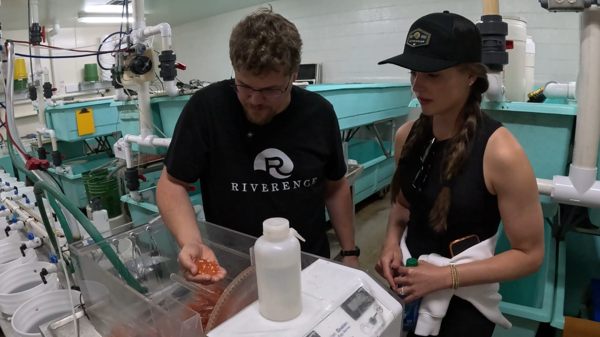 Hooked on Sustainable U.S. Aquaculture: Riverence Trout Farm