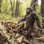 What Are People Really Seeing When They Claim to See Bigfoot?