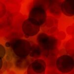 10 Portraits Made with Unusual Materials