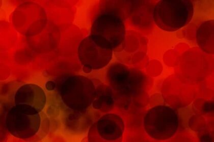 10 Portraits Made with Unusual Materials