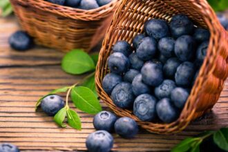 10 Brilliant Facts About Blueberries You Should Know